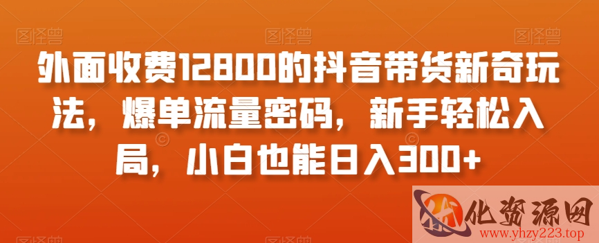 外面收费12800的抖音带货新奇玩法，爆单流量密码，新手轻松入局，小白也能日入300+【揭秘】