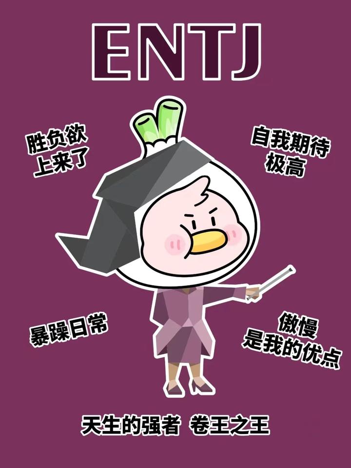 ENTJ型人格特点 - 知乎