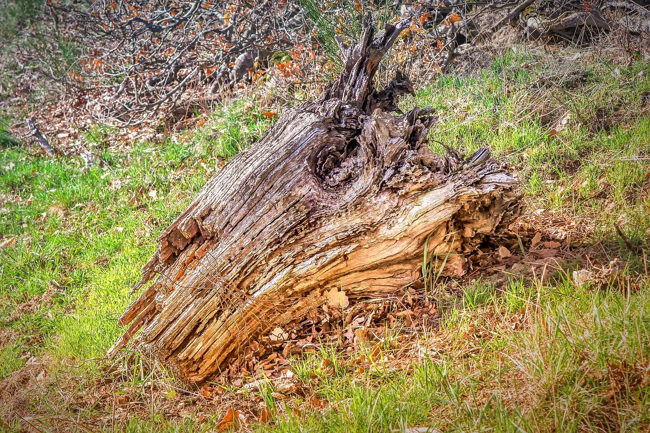 3. 柱筋焊接要点