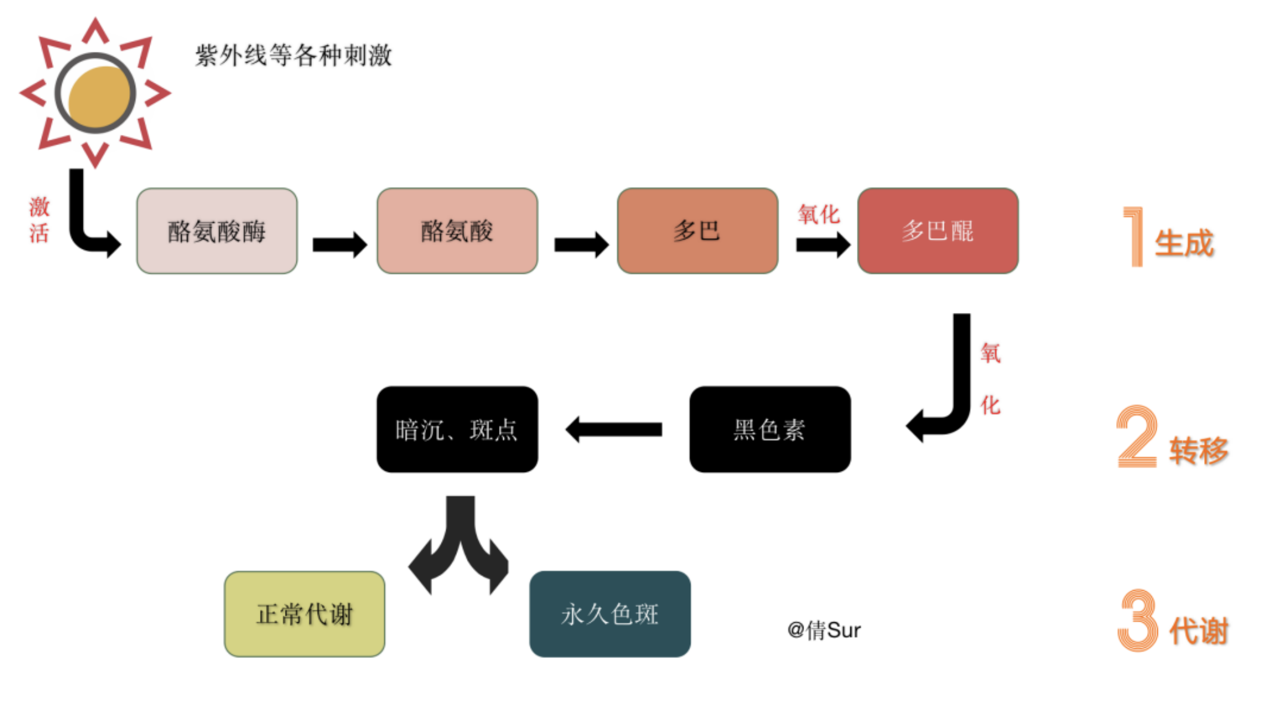 人的皮肤被晒黑后如何恢复? - 知乎