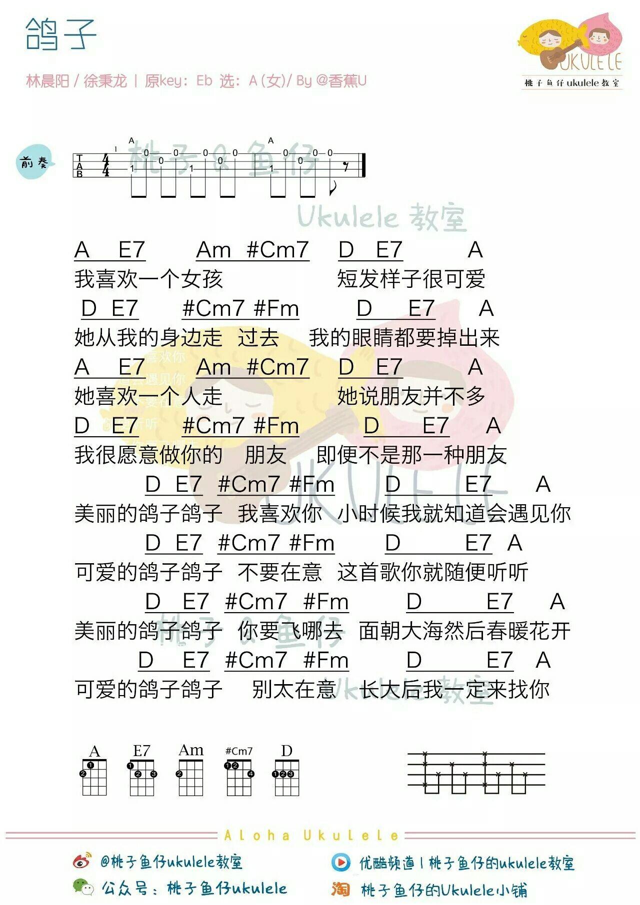 哪位大神有徐秉龙鸽子的尤克里里谱子