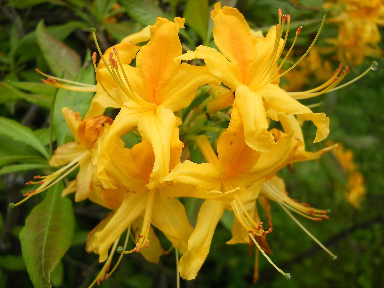 海伦春天学区房优势