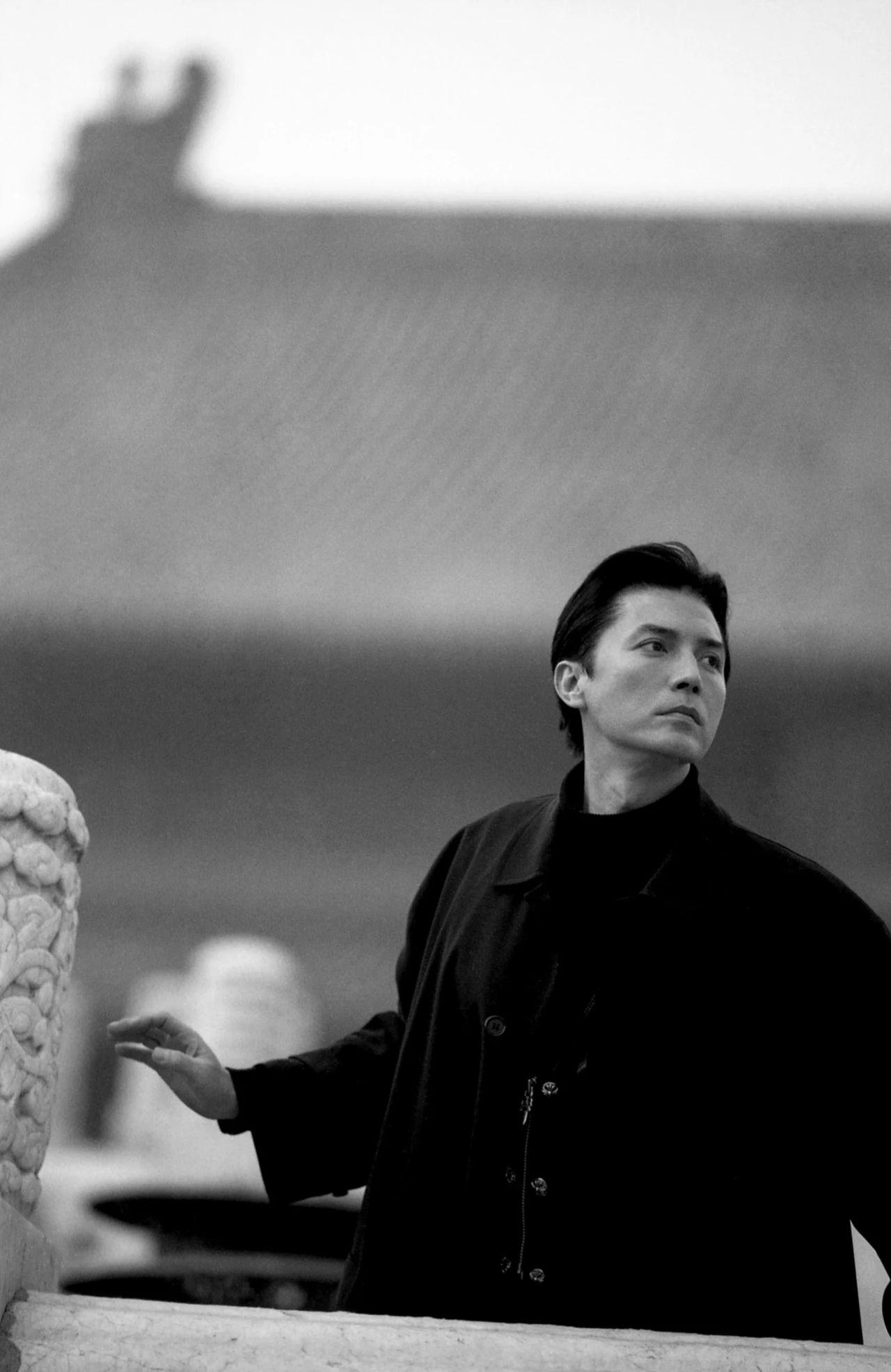 有没有尊龙的高清图片?