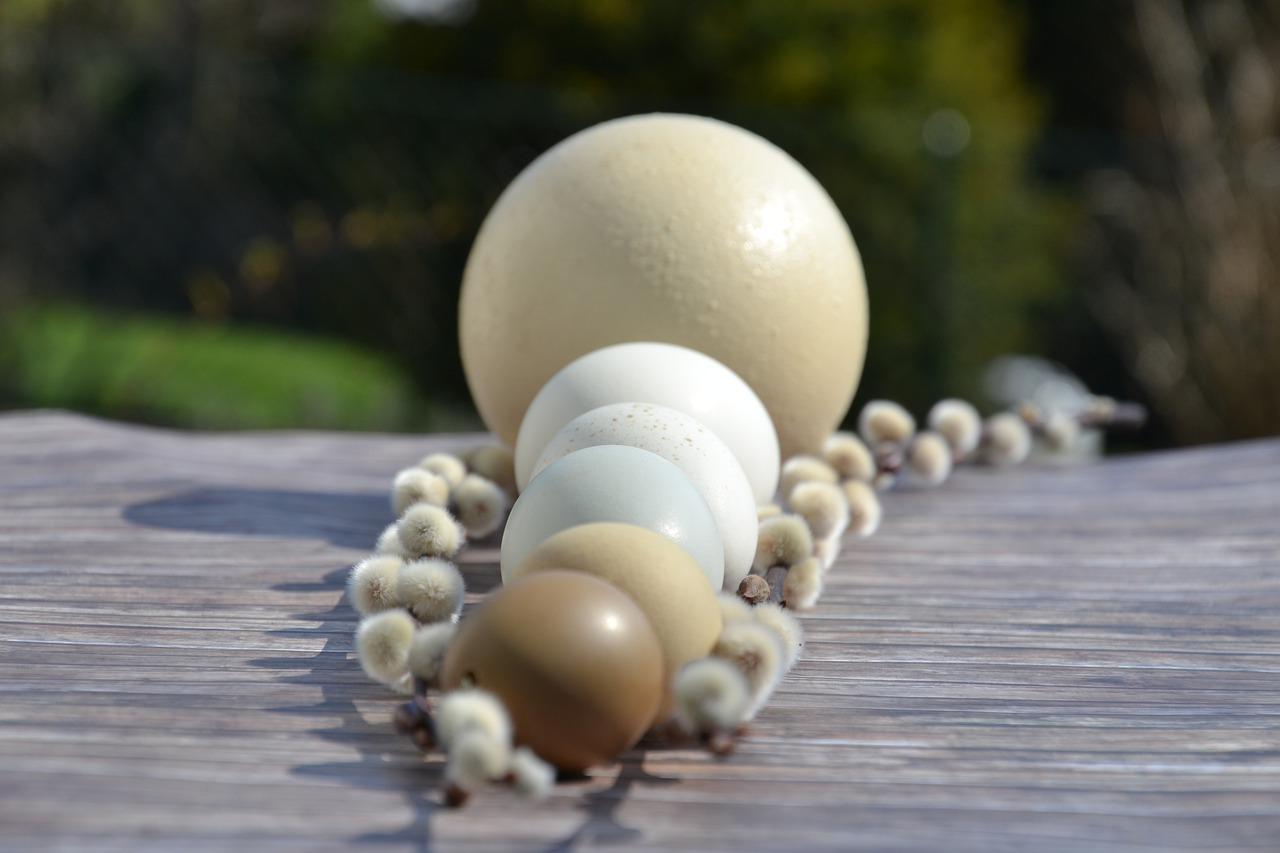 2. 鹅蛋顶施工步骤