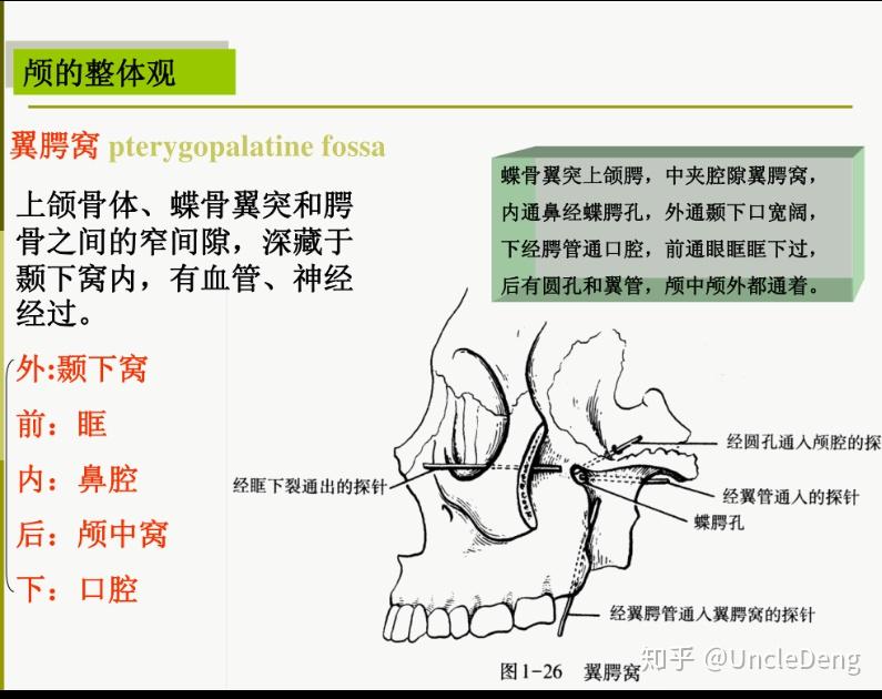 醫學有哪些朗朗上口的順口溜