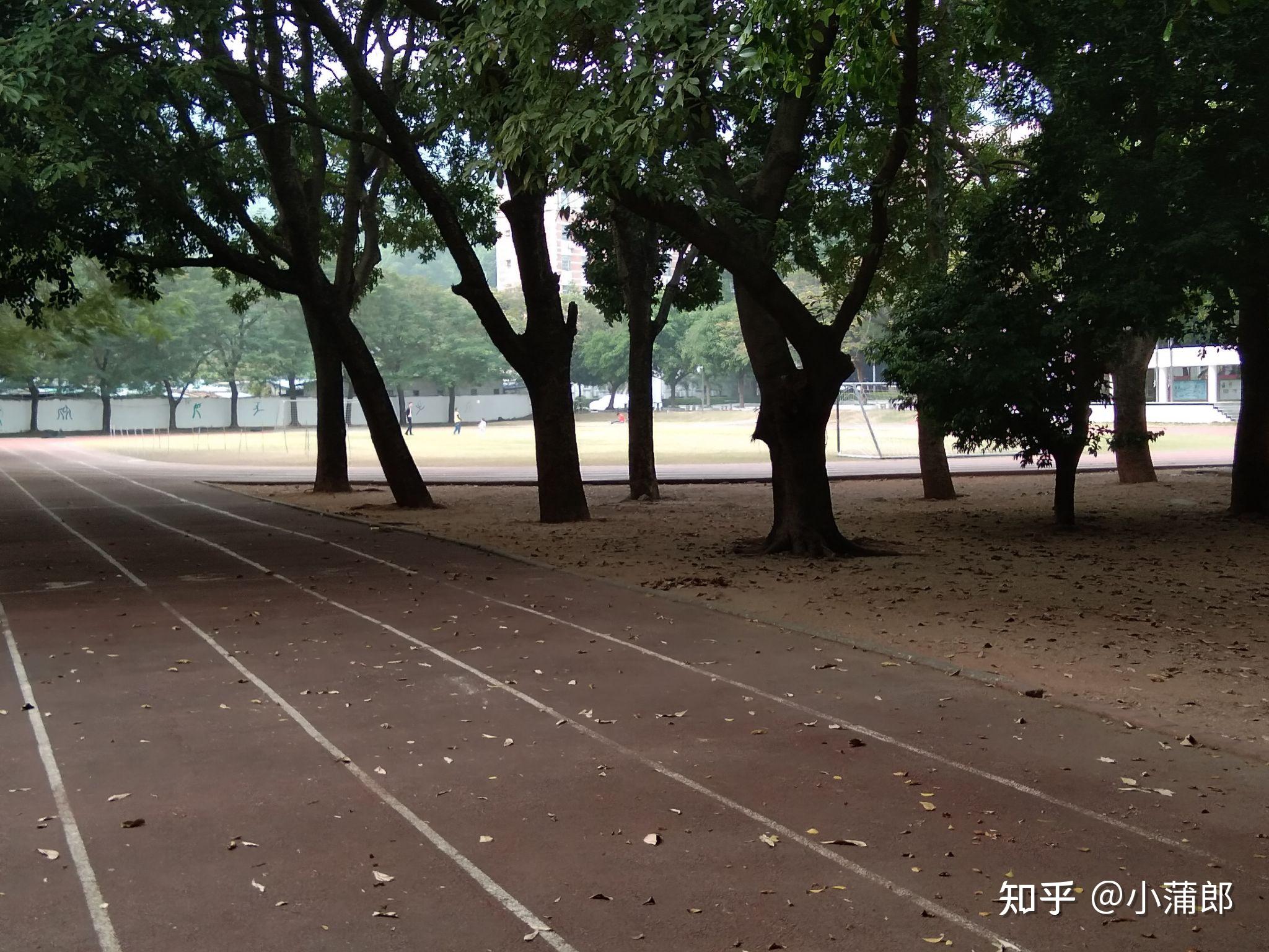 深圳康桥书院怎么样?环境学风?