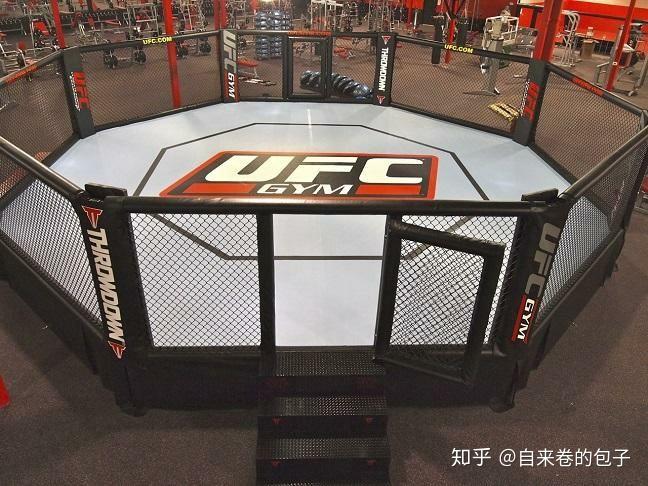 想入坑ufc和wwe,怎么入门呢? - 知乎
