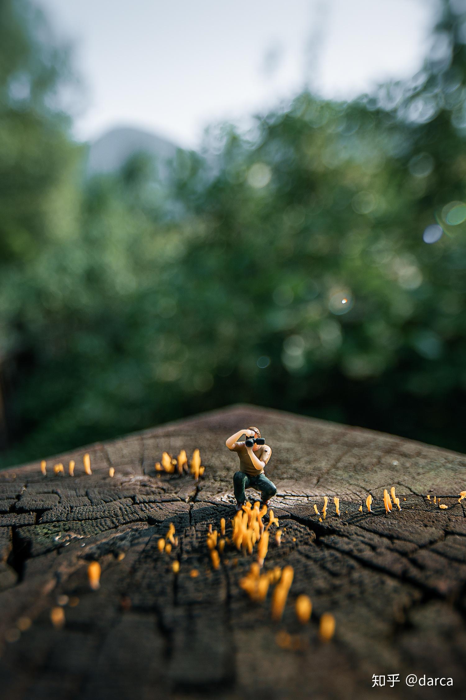 拍摄微缩小人模型用什么相机镜头? - 知乎