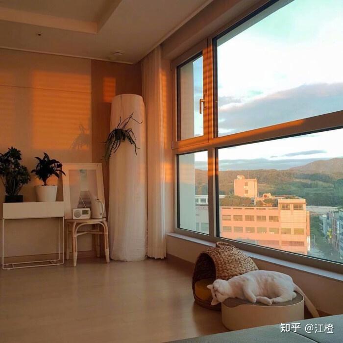 家里窗户整面玻璃没有开窗怎么擦 家里窗户整面玻璃没有开窗怎么擦