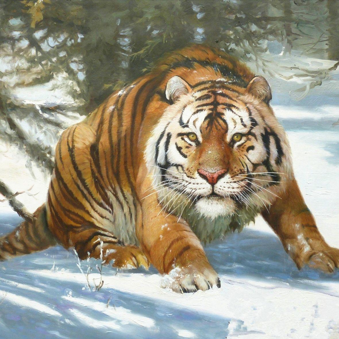 有没有憨憨的老虎头像