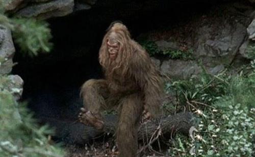 北纬30度十大禁区:神秘的四川黑竹沟之谜