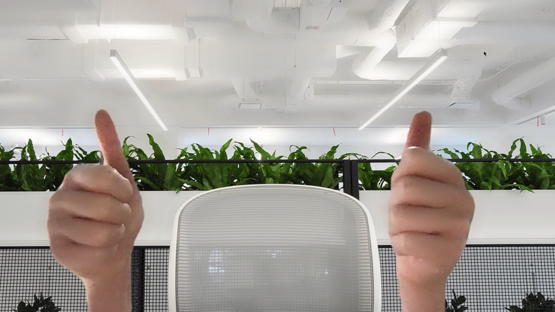 腾讯会议虚拟背景有啥好图推荐吗逗比一点的