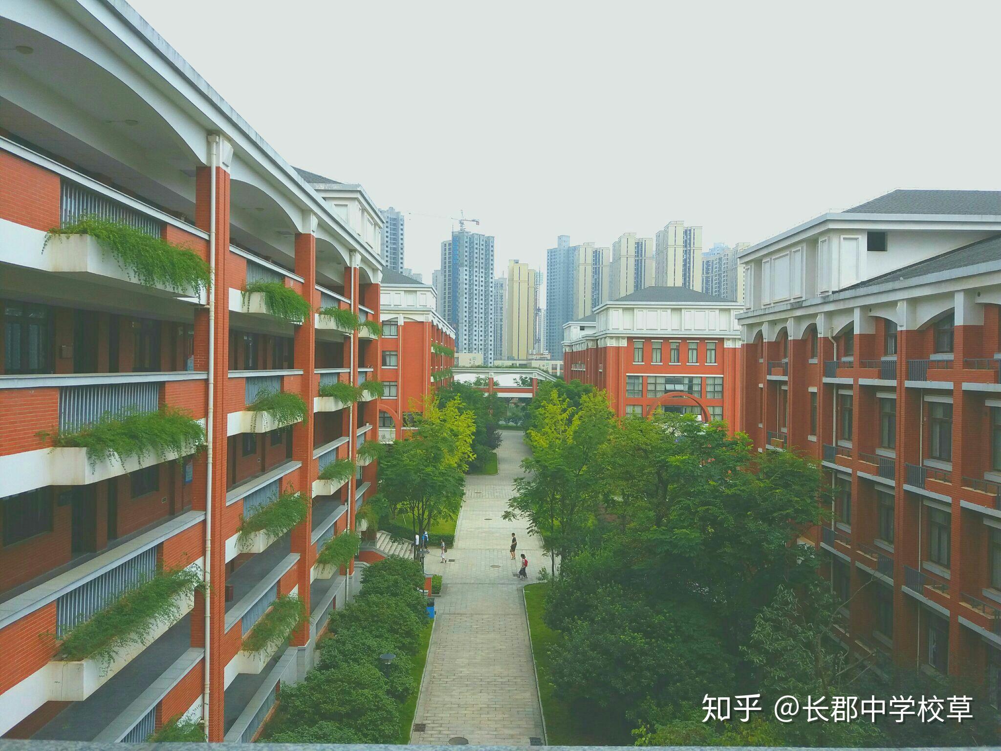 长郡梅溪湖中学教学楼图片