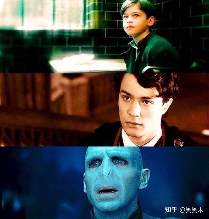 伏地魔为什么死