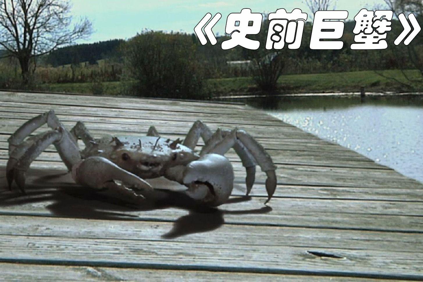 巨大螃蟹全集好看的电影真好看