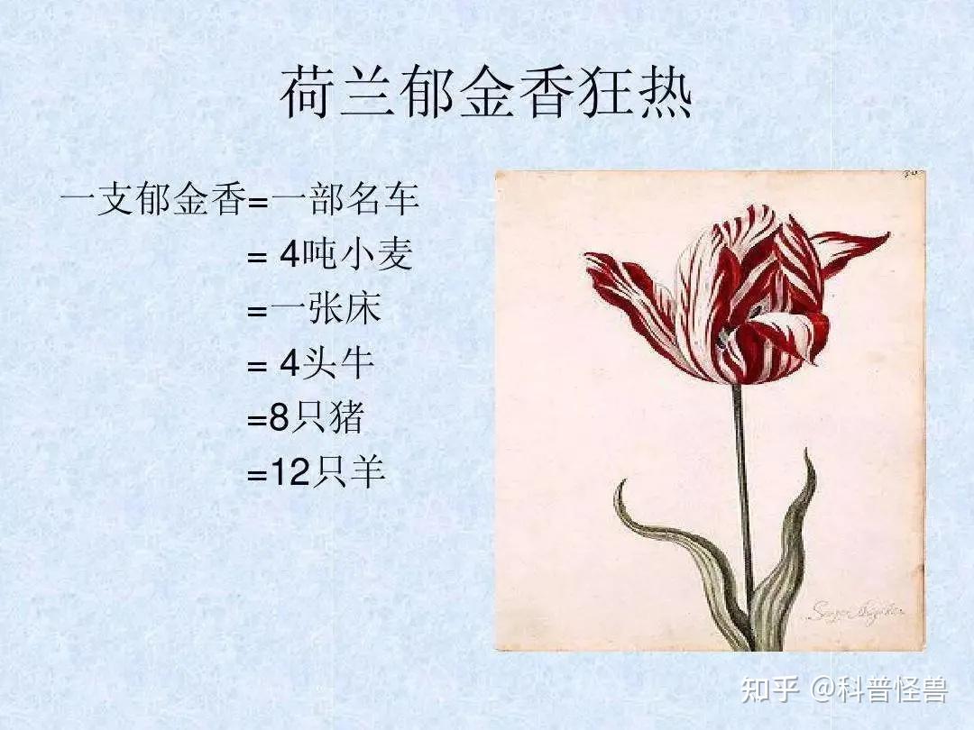 金融史荷兰篇之郁金香泡沫- 知乎