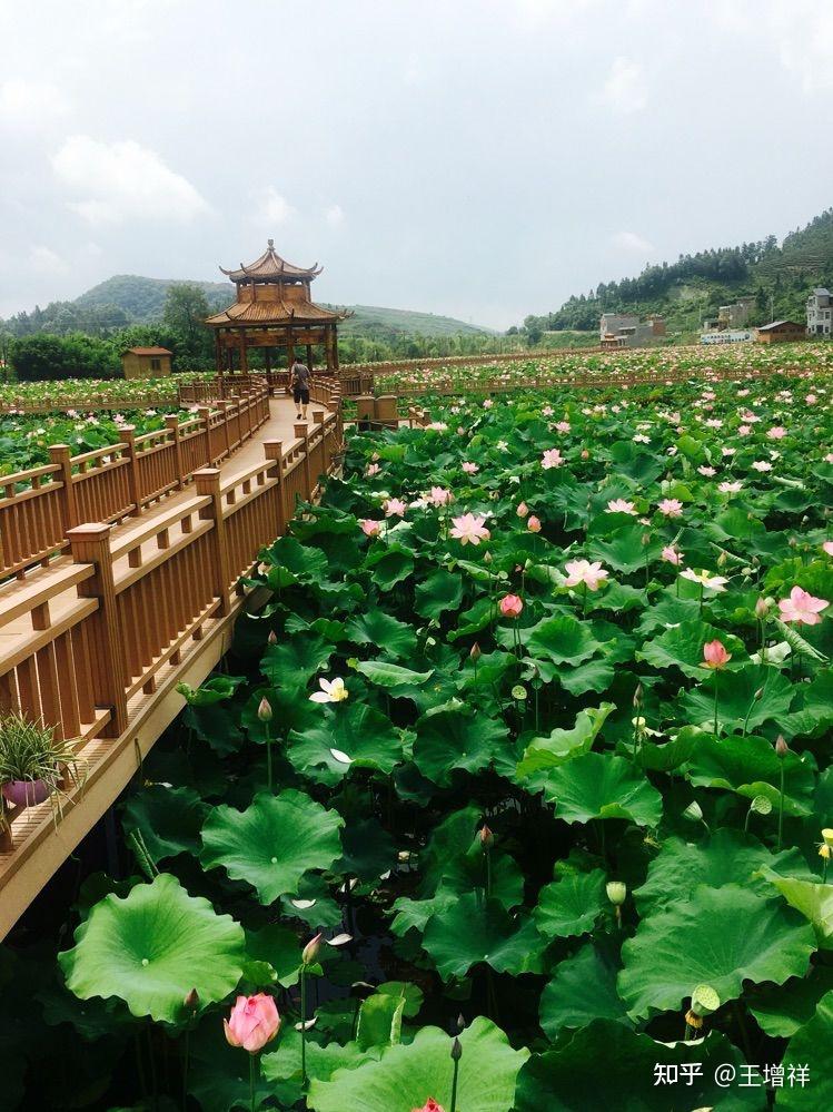 蓝田自驾游景点大全图片