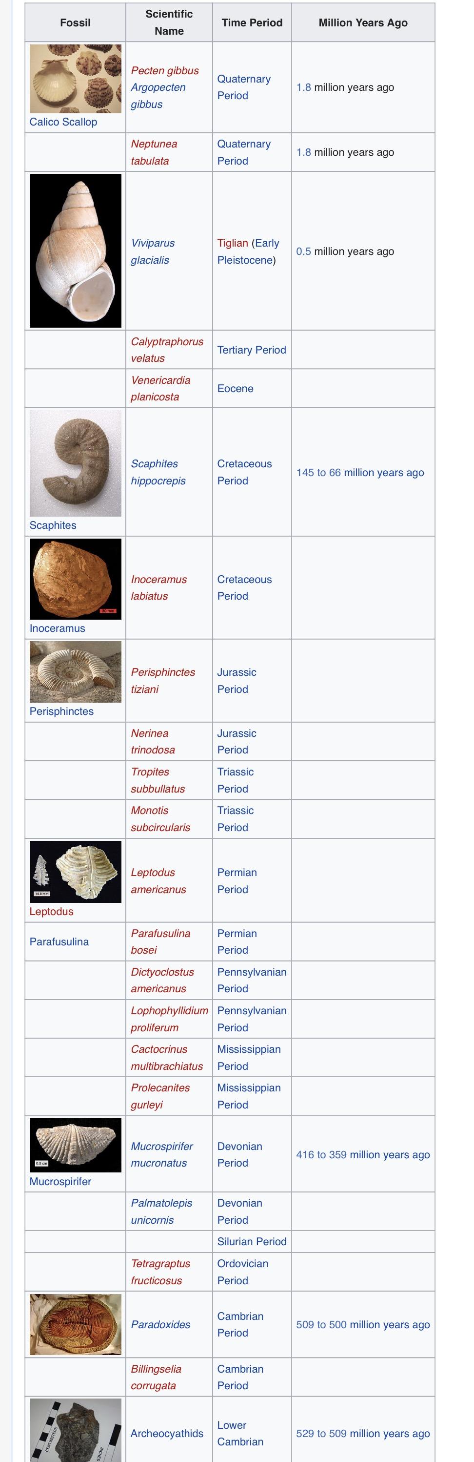 早古生代，晚古生代，中生代和新生代的代表性化石分别是什么? - 知乎