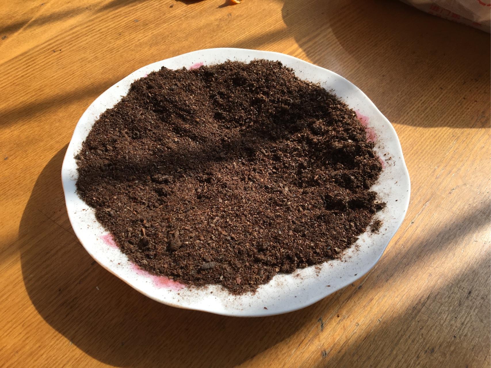 夜明砂(蝙蝠粪便)研磨后发现像塑料的物质?