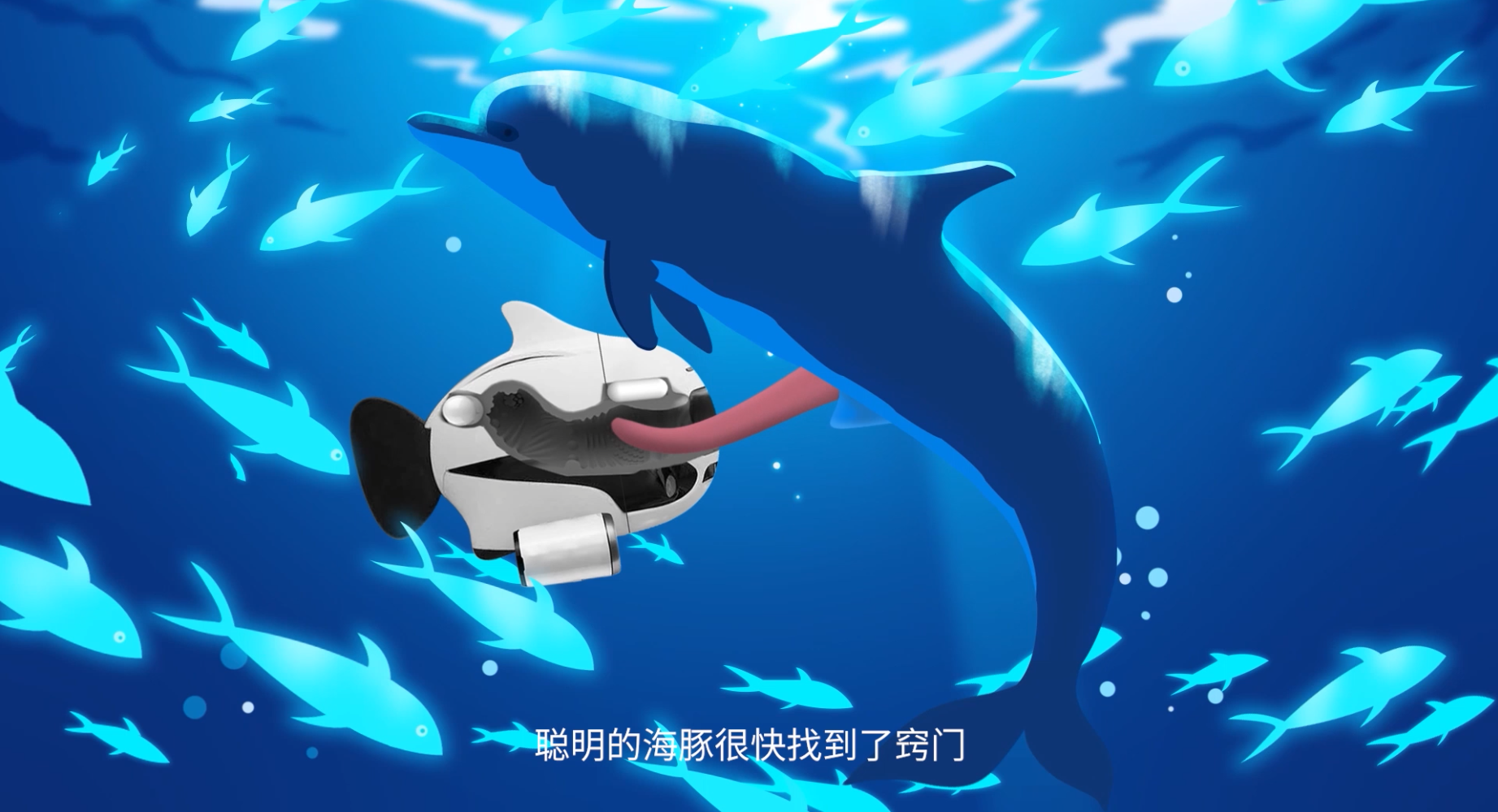 海豚性欲那么强,飞机杯能否满足它的生理需求?