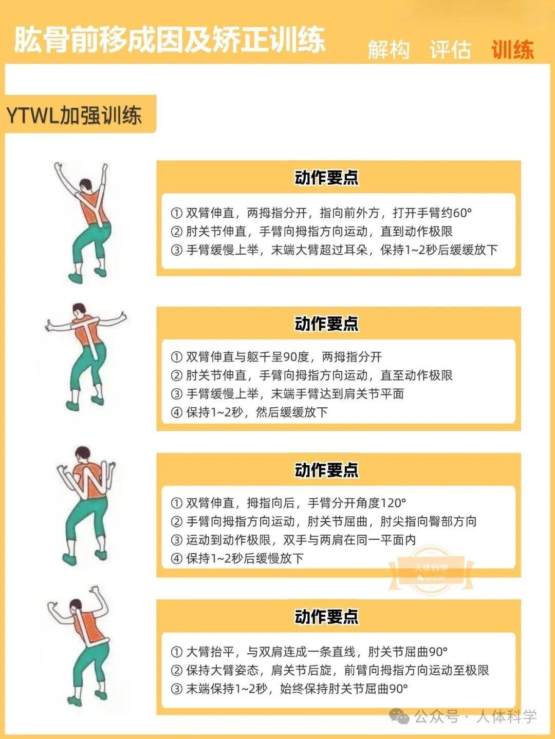 【新体态】肱骨前移的成因及运动矫正训练 - 知乎