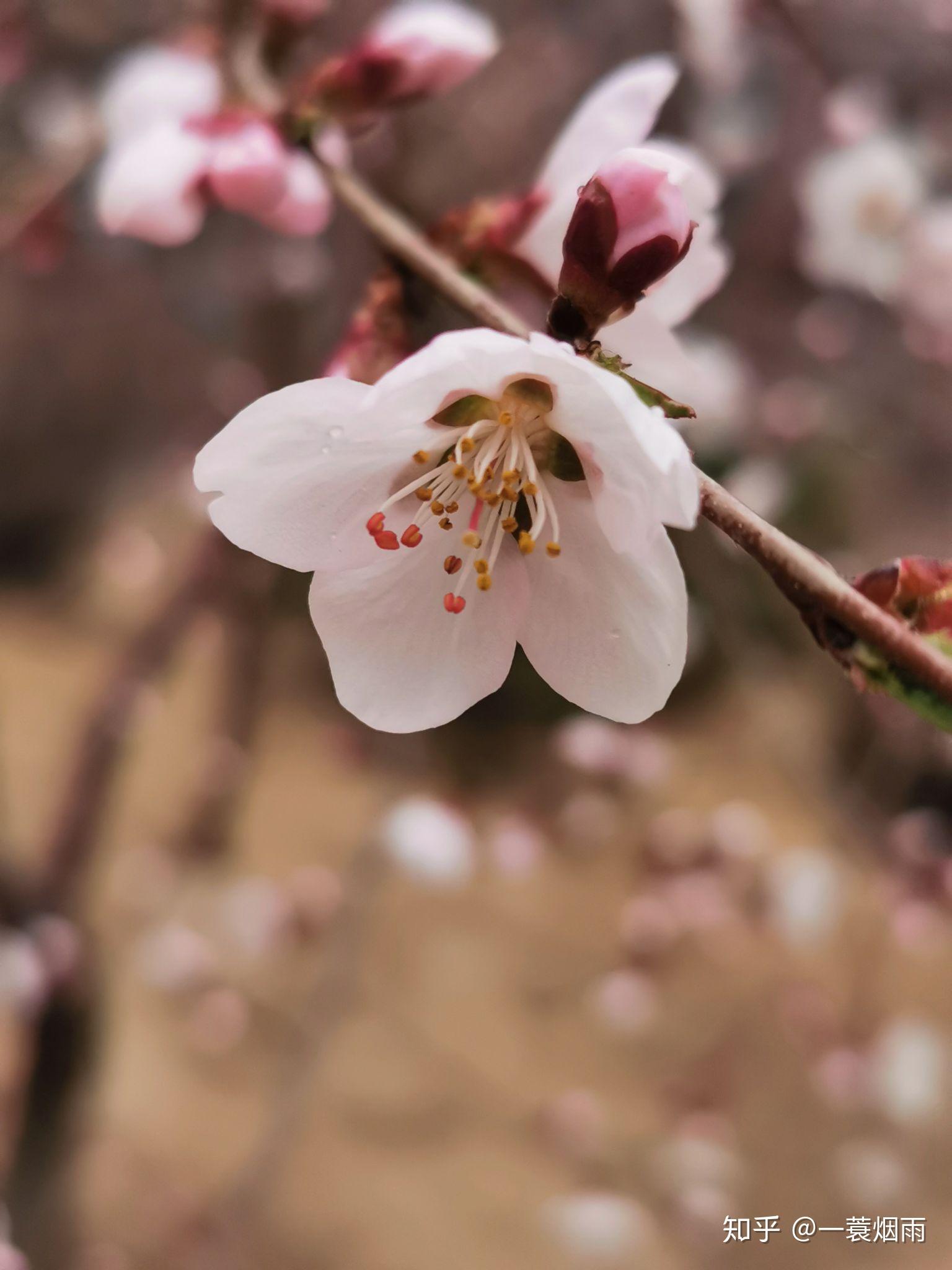 春天有什么样的感受是其他季节无法带给你的