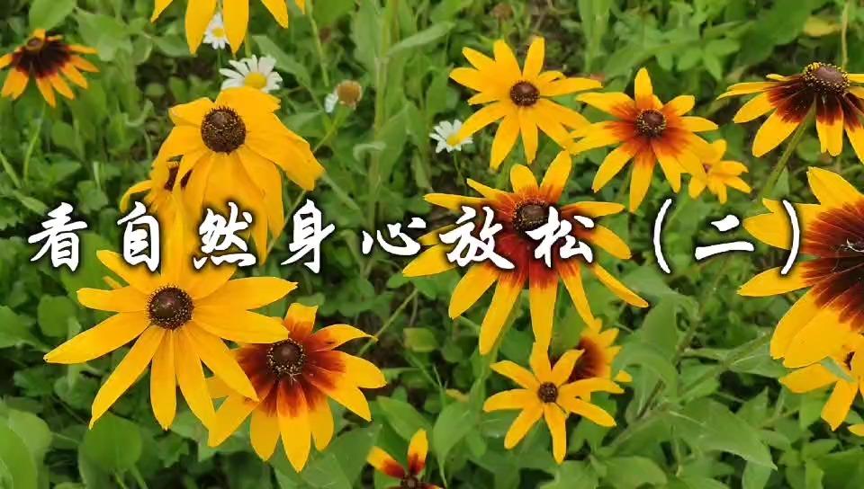 放松身心你最喜欢哪种方式