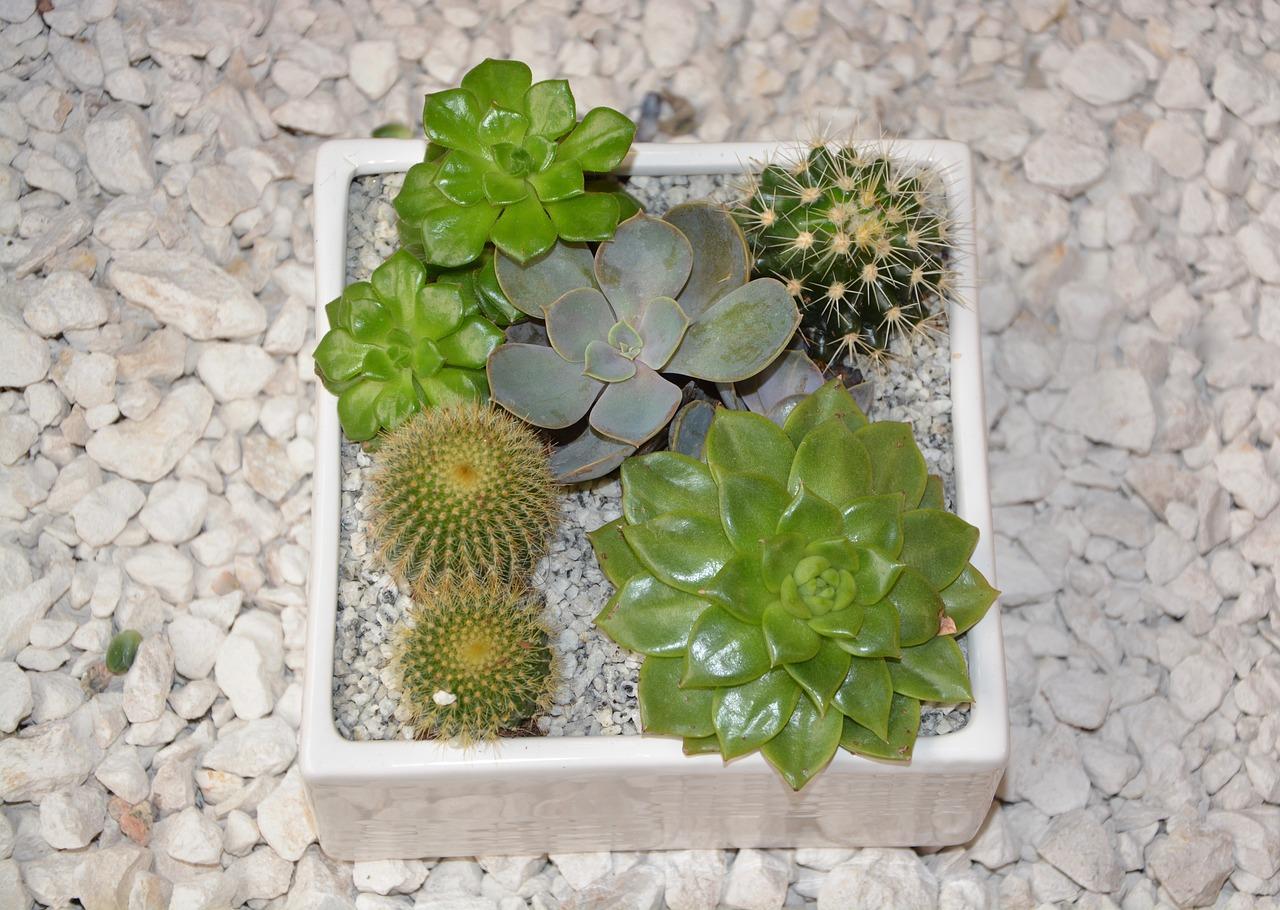 插花放在什么地方好