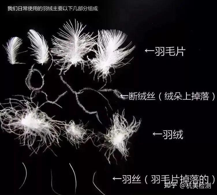 防钻绒测试丨羽绒服总是“长毛”?来了解一下防钻绒性能! - 知乎
