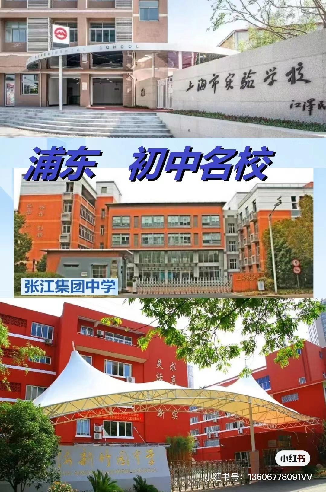 上海市新竹园中学图片