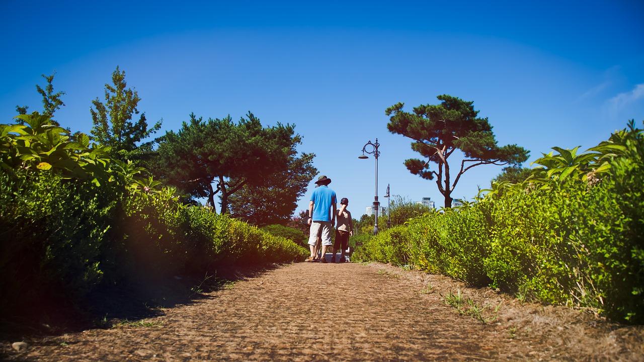 4. 步行效率分析