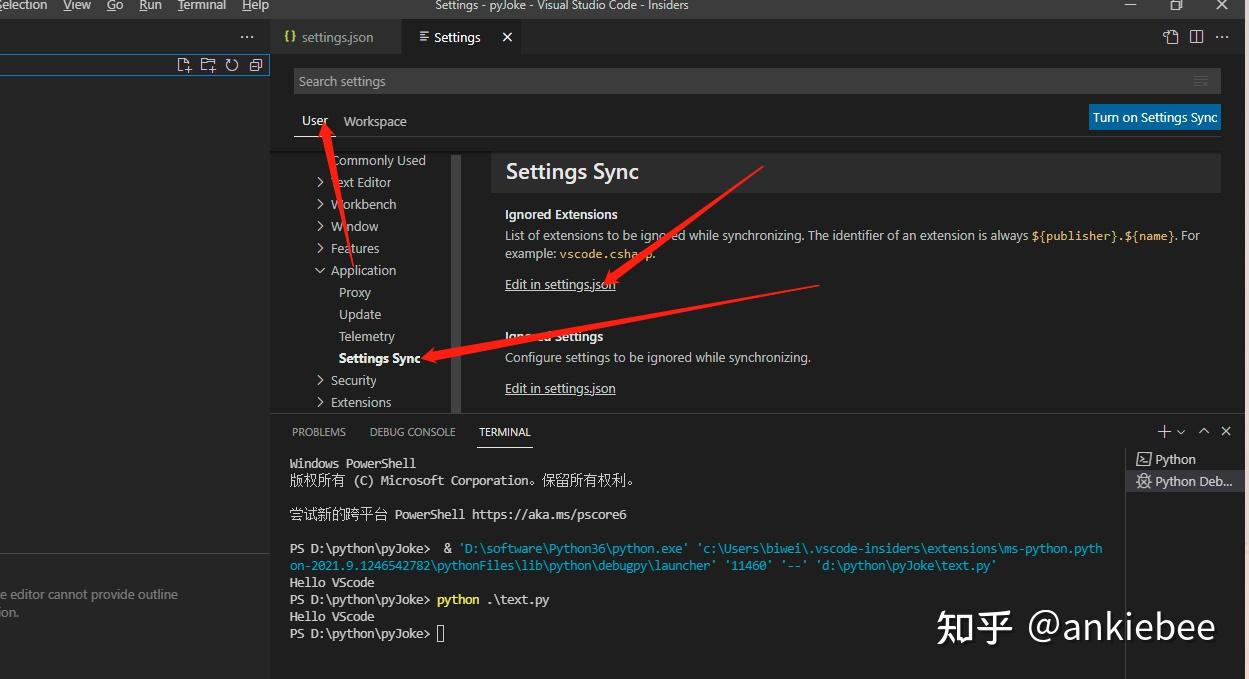 VScode 安装插件-python - 知乎