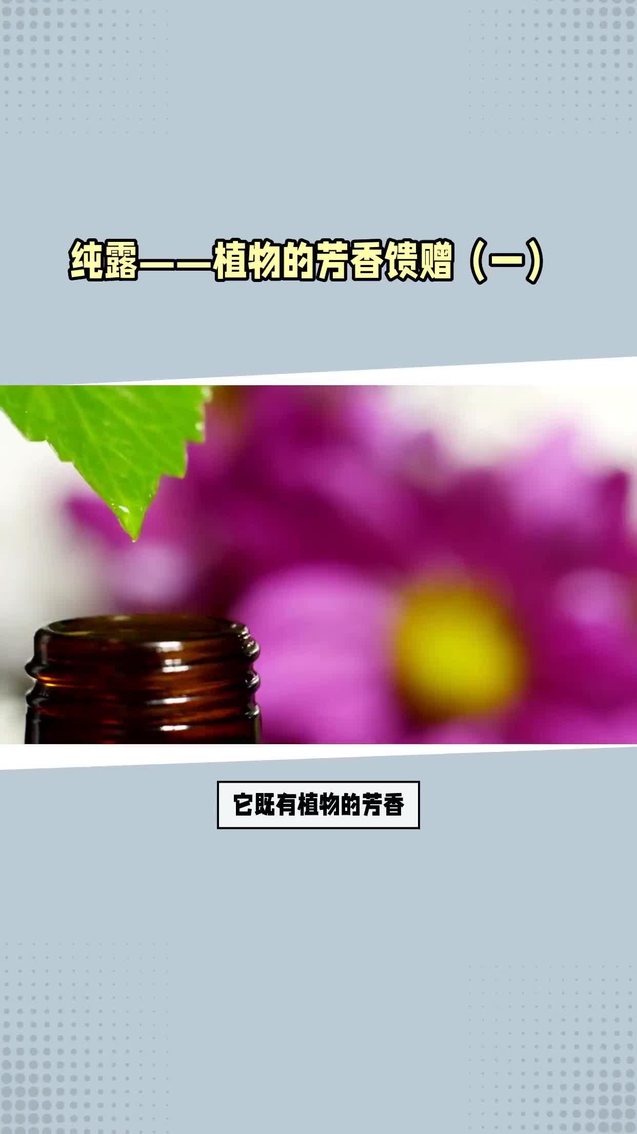 纯露是什么怎么鉴别好用的纯露