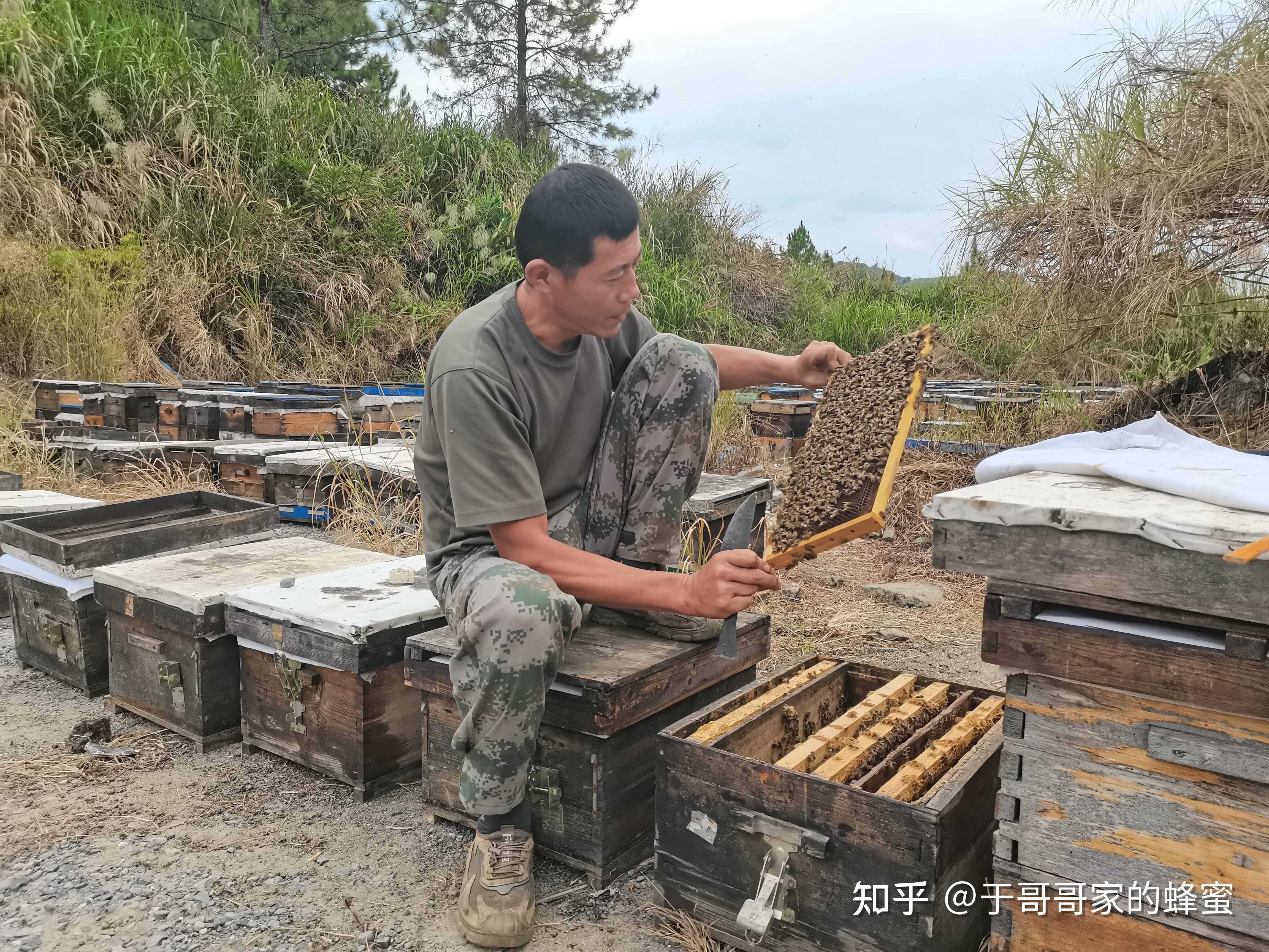 蜂蜜怎么保存能保存多久呢(蜂蜜保存的方法)