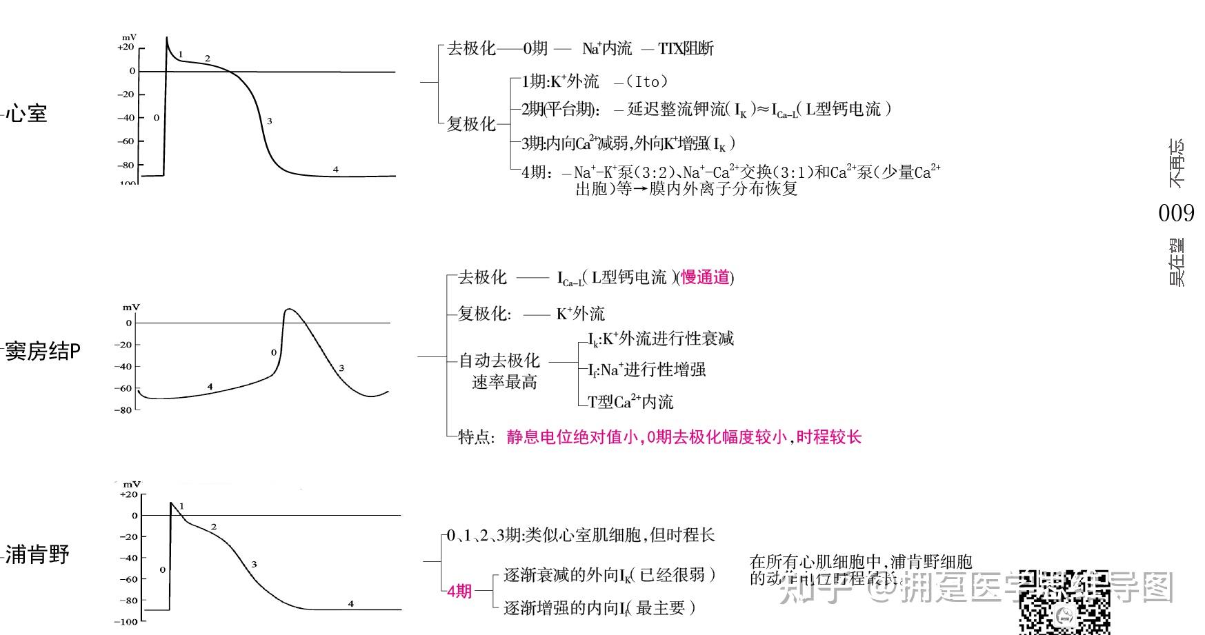 钠离子通道状态图解图片