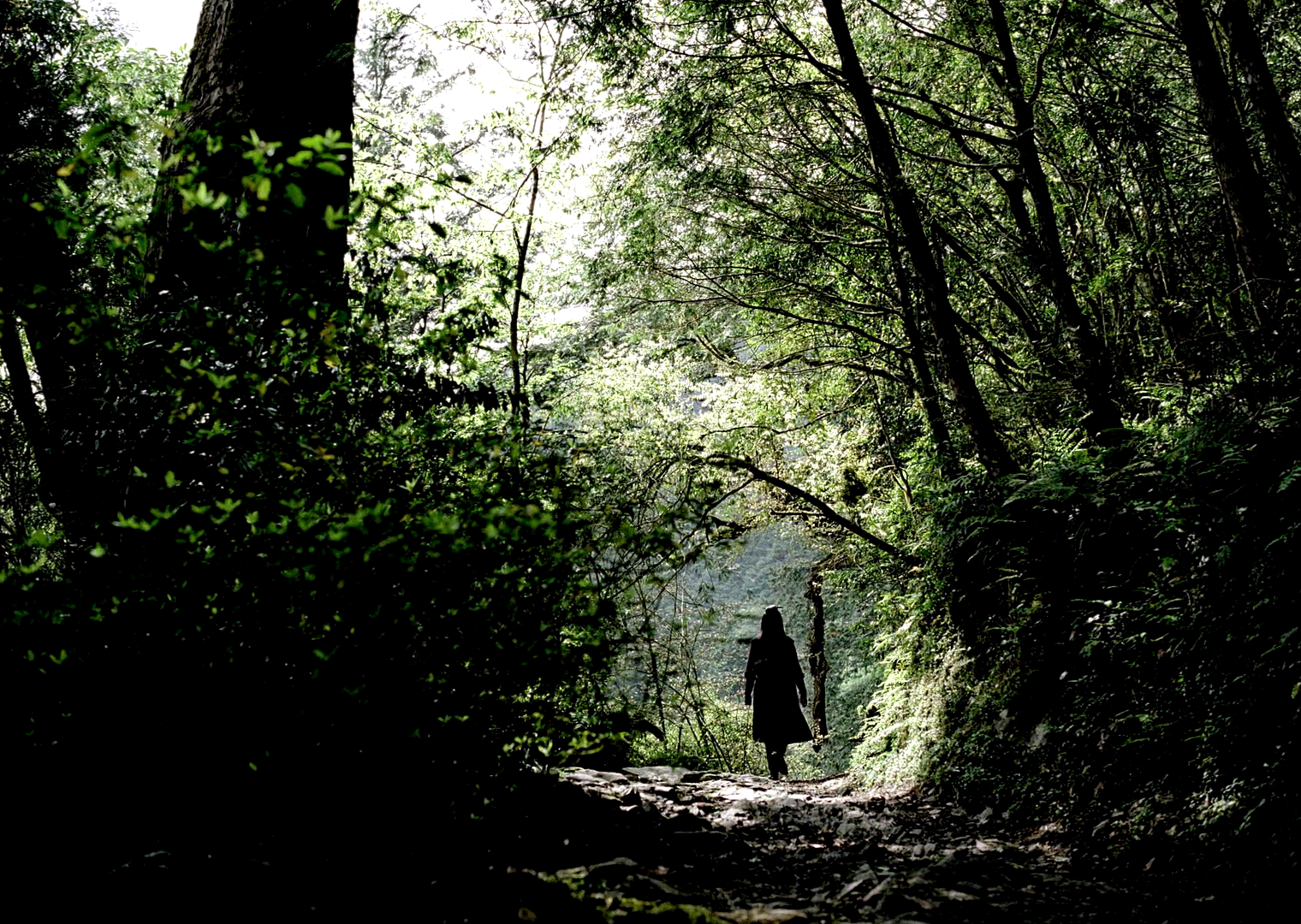 刺客聂隐娘:一阵风吹过