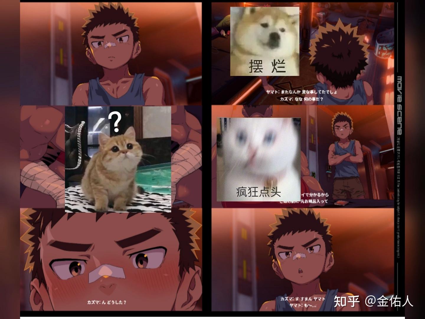 司马太太系列动画在哪里看? - 知乎