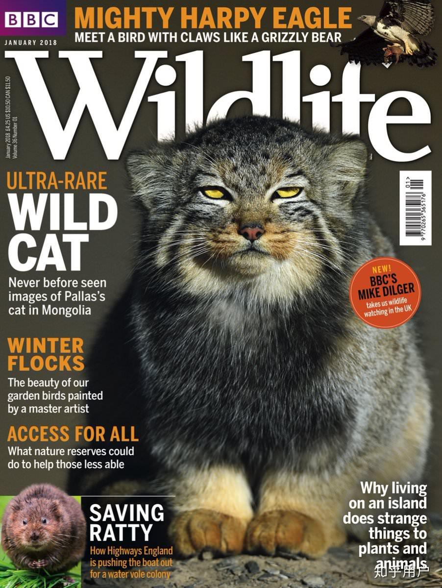 有哪些适合大学生阅读的英语杂志可以推荐? - 知乎