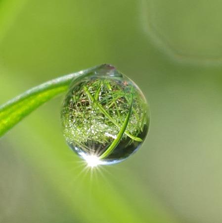 表面张力相关知识分析与应用 - 知乎