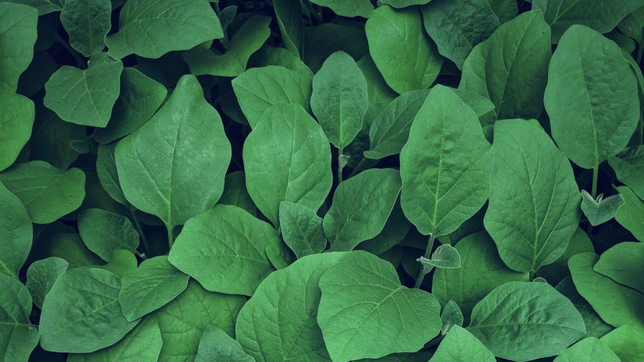 有哪些看起来很有格调的电脑桌面壁纸