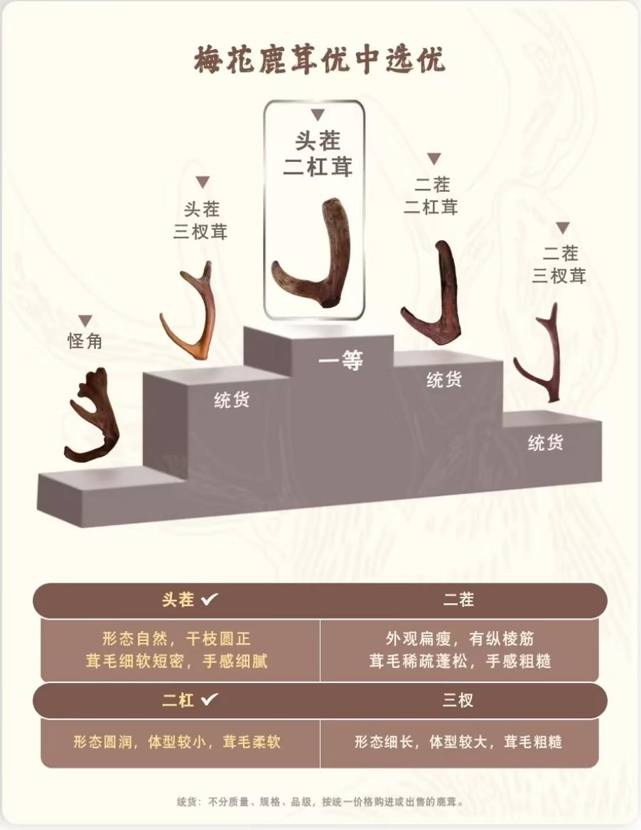 梅花鹿茸:二杠茸VS三杈茸 - 知乎