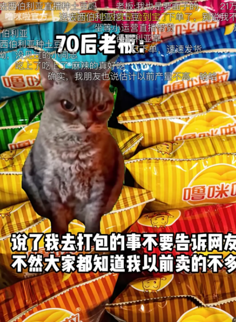 不是广告投不起,而是猫meme更有性价比 - 知乎