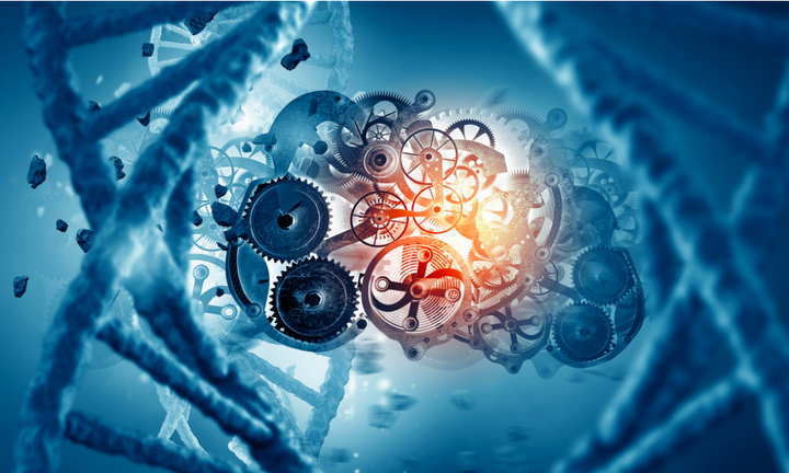 用计算机真正模拟生命还要多久 - 知乎