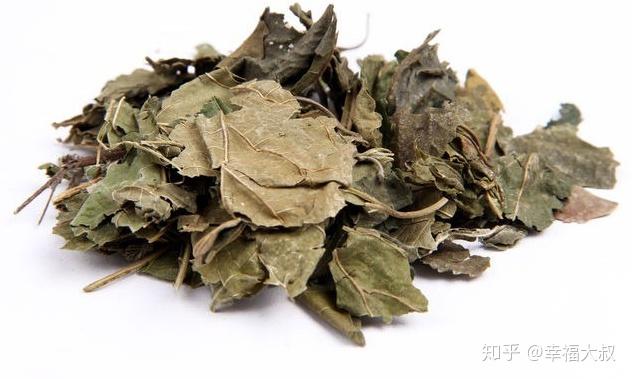很多人用错方法,侧伯叶用于脂溢性脱发有奇效 - 知乎