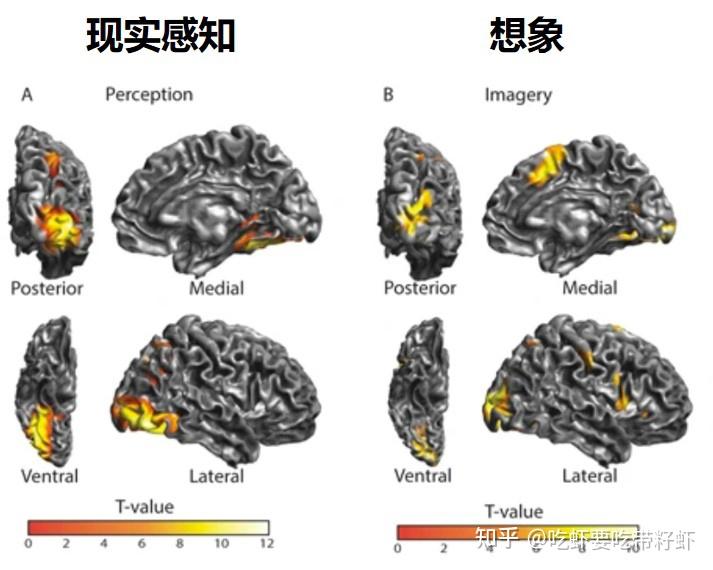 人脑是如何区分想象和现实的?