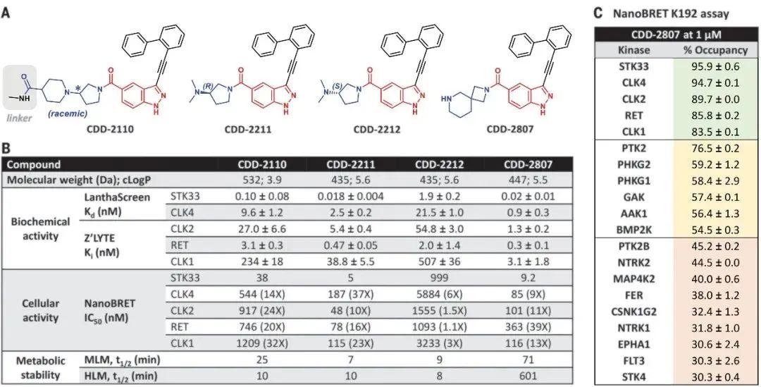 首款按需服用「男性避孕药」或将面世「小鼠实验中显示 2 小时内 100%