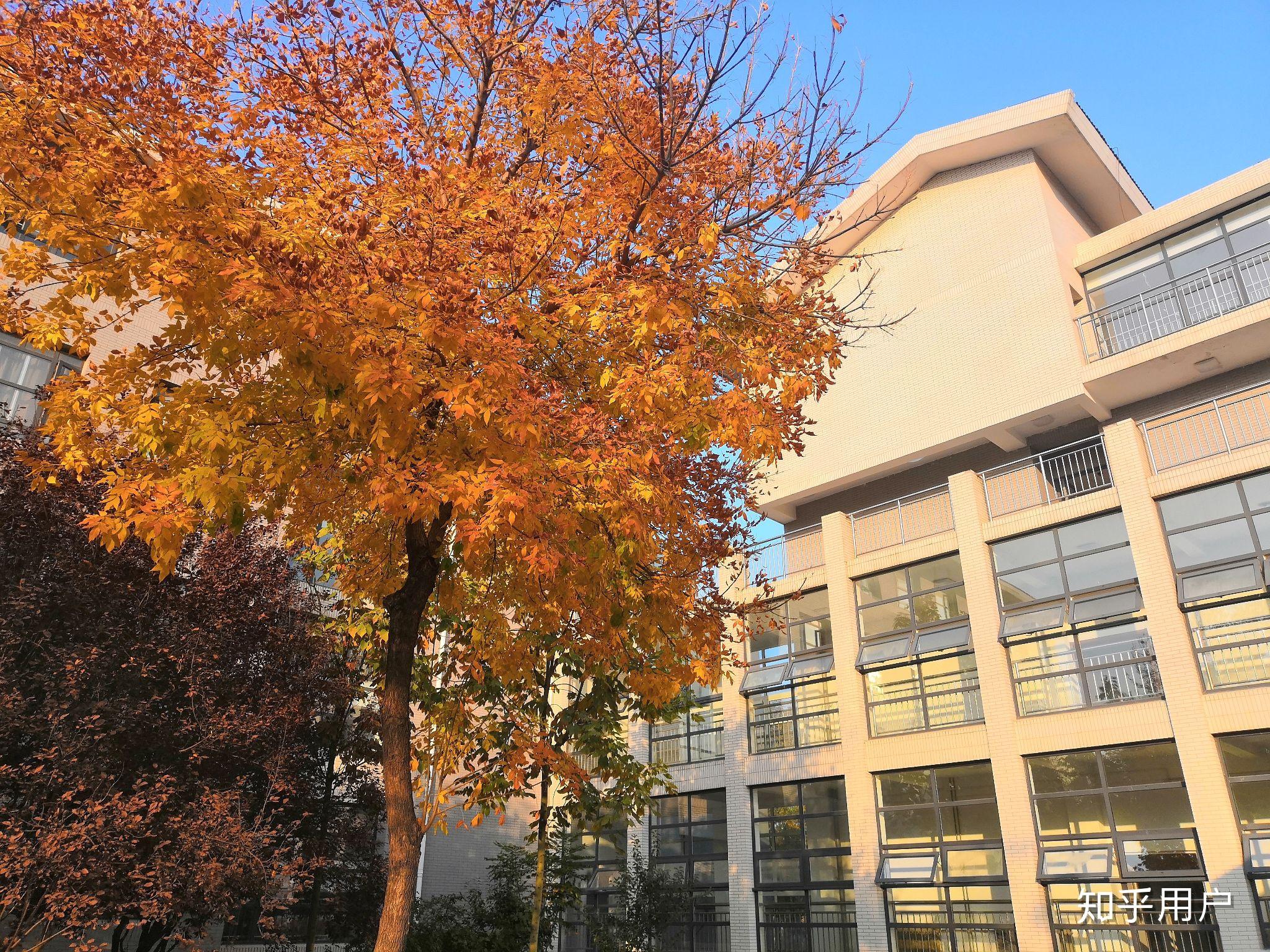 山東財經大學聖井校區宿舍怎麼樣