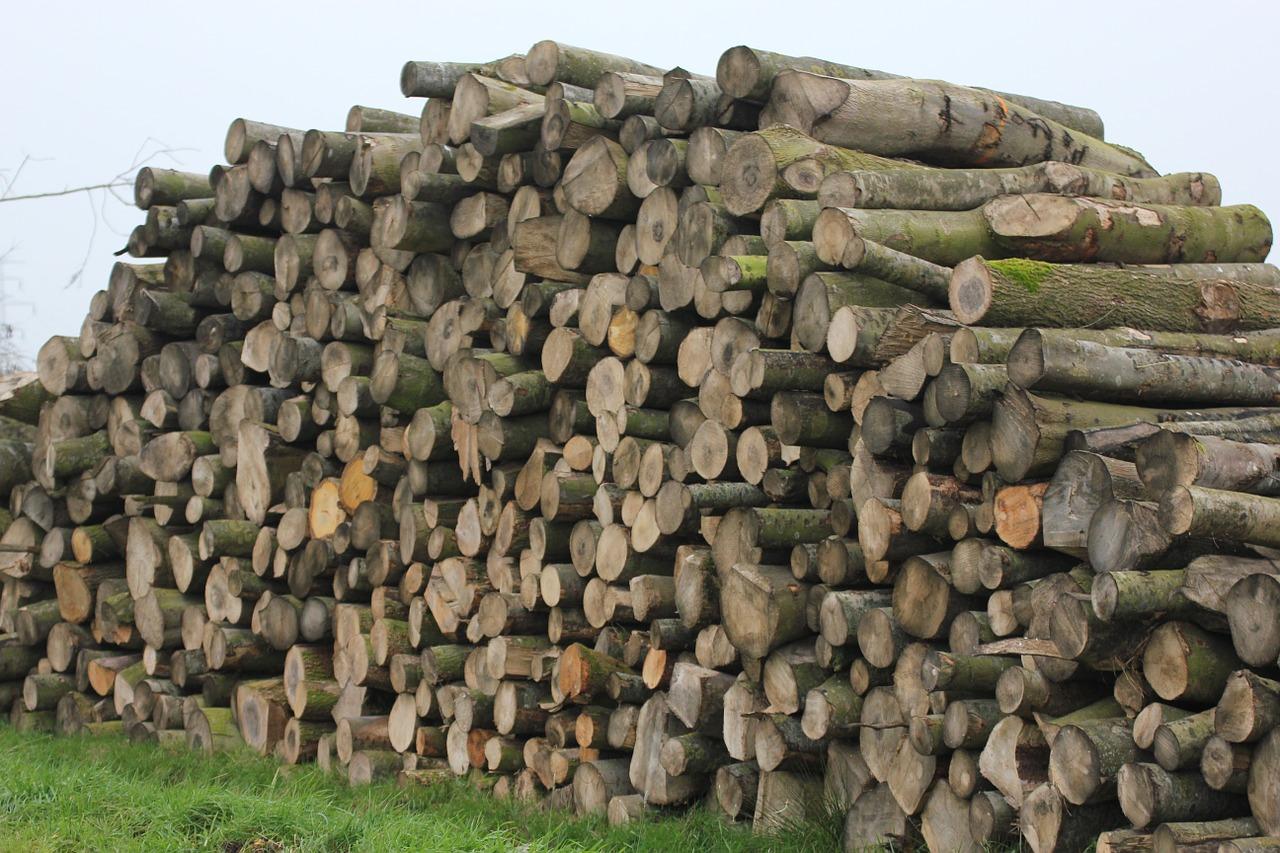 3. 松柏木优缺点