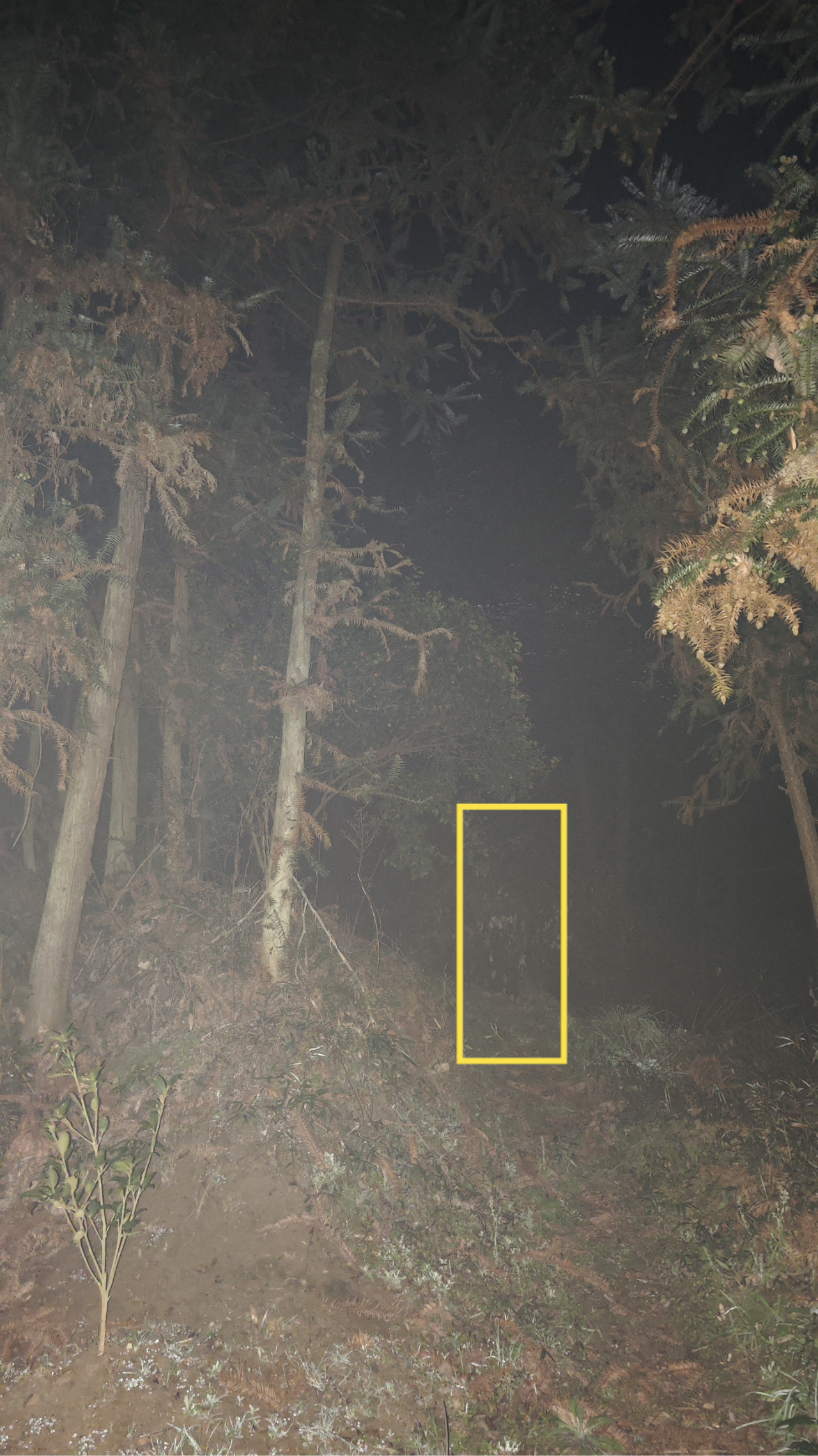 世界上真的有鬼吗