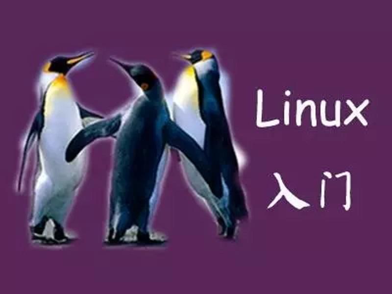 linux-find-cp